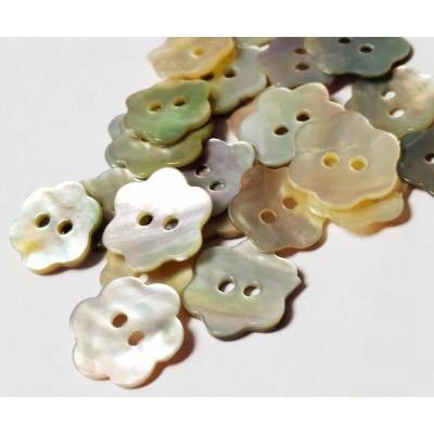 Boccioli di conchiglia...