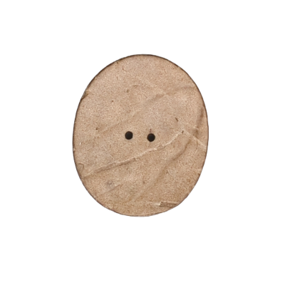 Botón Forma de Ovalo de Coco Natural
