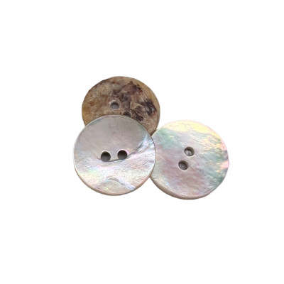 Boutons de nacre (Akoya) - Coquillage naturel