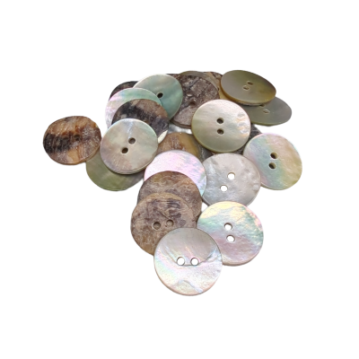 Boutons de nacre (Akoya) - Coquillage naturel