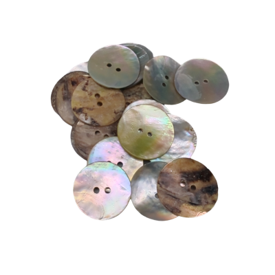 Boutons de nacre (Akoya) - Coquillage naturel