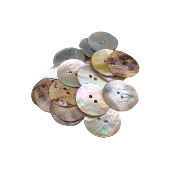 Boutons de nacre (Akoya) - Coquillage naturel