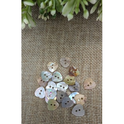 Boutons de nacre (Akoya) - Coquillage naturel