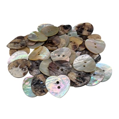 Boutons de nacre (Akoya) - Coquillage naturel