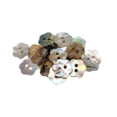 Boutons de nacre (Akoya) - Coquillage naturel